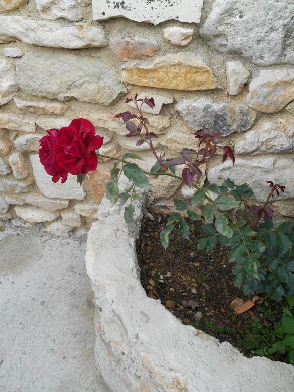 Le Mas Des Baux Bédoin Εξωτερικό φωτογραφία