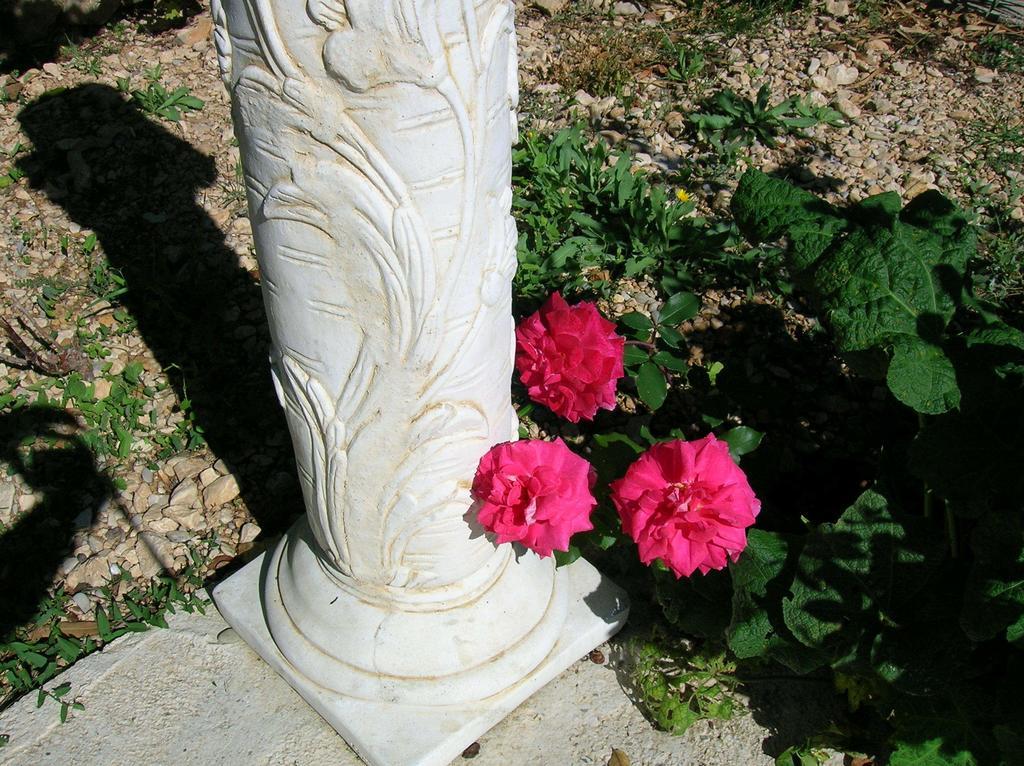 Le Mas Des Baux Bédoin Εξωτερικό φωτογραφία