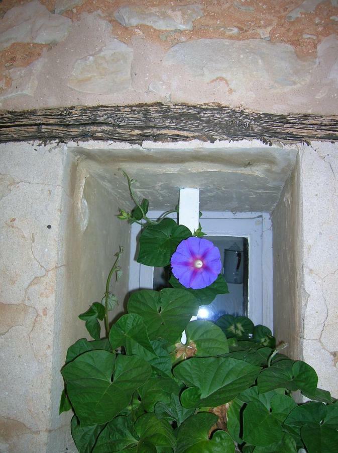 Le Mas Des Baux Bédoin Εξωτερικό φωτογραφία